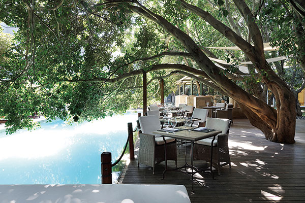 Guests can sip champagne on a tree-canopied terrace at the Saxon Hotel in Johannesburg