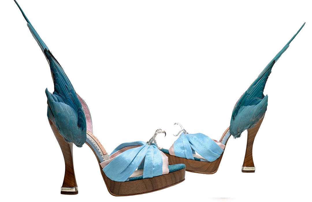 ‘Parakeet’ shoes by Caroline Groves, England, 2014, photo by Dan Lowe. 