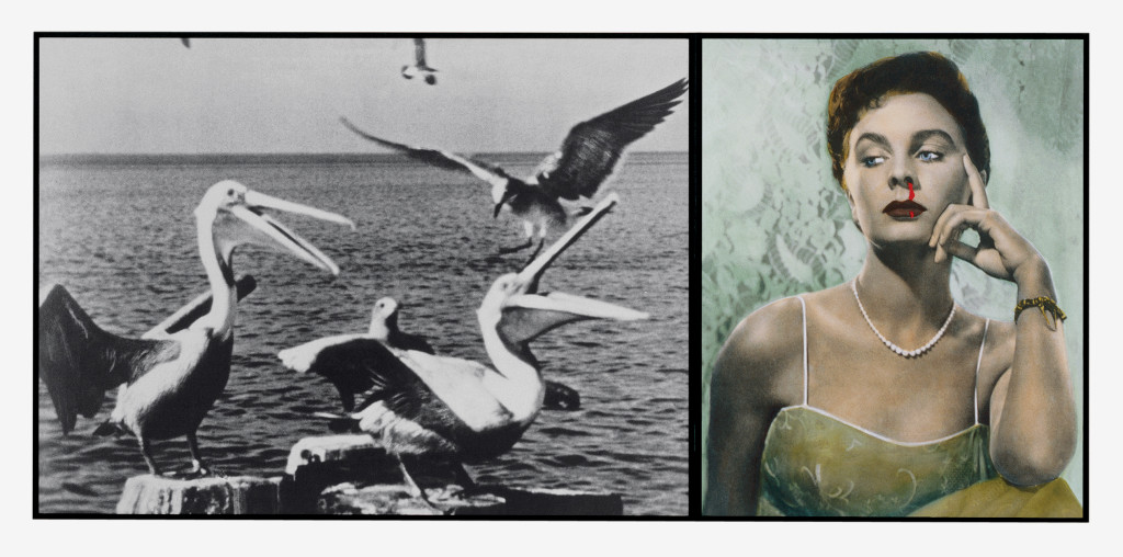 John Baldessari, Pelicans Staring at Woman with Nose Bleeding, 1984, black-and-white photographs and oil tint, Collection of Wendy and Robert Brandow, Los Angeles Photo: Courtesy of John Baldessari